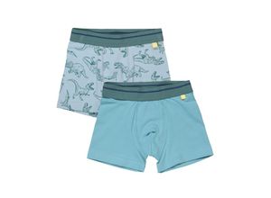 4066101009249 - - Boxershorts DINO 2er-Pack in blau grün Gr92