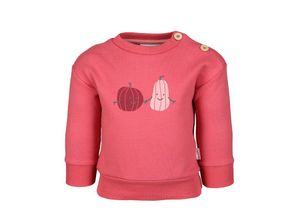 4066101097031 - Sanetta Pure - Sweatshirt PUMPKIN in cherry blush Gr62