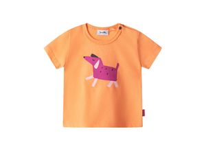 4066101226387 - Sanetta Pure - T-Shirt HAPPY DOG in orange blush Gr68