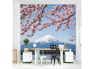 4066332098524 - Micasia - Fototapete - Kirschblüten mit Berg Fuji Größe HxB 192cm x 192cm Material Vlies Smart 4066332098524 - Micasia - Fototapete - Kirschblüten mit Berg Fuji Größe HxB 192cm x 192cm Material Vlies Smart