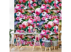 4066332164045 - Micasia - Fototapete - Bunte Tropische Blumen mit Vögeln Pink Größe HxB 192cm x 192cm Material Vlies Smart