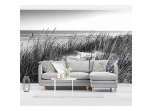 4066332181257 - Fototapete - Stranddüne am Meer Schwarz-Weiß Größe HxB 290cm x 432cm Material Vlies Premium