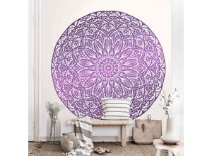 4066332199962 - Micasia - Fototapete - Mandala Ornament in Lila Größe HxB 192cm x 192cm Material Vlies Smart