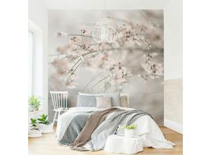 4066332603643 - Micasia - Fototapete - Für immer Frühling Größe HxB 192cm x 192cm Material Vlies Smart