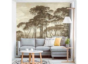 4066332606644 - Micasia - Fototapete - Hendrik Voogd Landschaft mit Bäumen in Beige Größe HxB 192cm x 192cm Material Vlies Smart