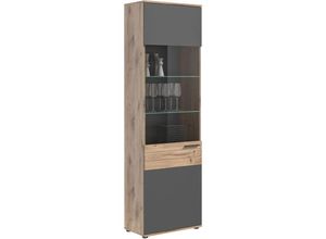 4066432000656 - Ebuy24 - Mason Vitrinenschrank 1 Tür Eiche dekor - Eiche Dekor