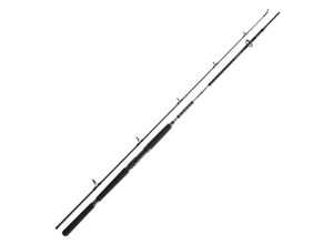 4066466005979 - Daiwa BG Offshore Pilk 240m 50-165g Pilkrute