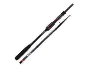 4066466028459 - Daiwa Ninja X-Compact Spin 225m 5-30g Teleskoprute