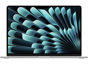 4066582751767 - APPLE Notebook MacBook Air Notebooks Gr 16 GB RAM 2000 GB SSD silberfarben (silber) MacBook Air Pro