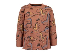 4066646209968 - - Langarmshirt CUTE DINOS AOP in kupfer Gr74