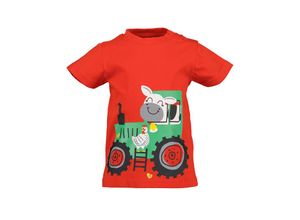 4066646333380 - - T-Shirt TRACTOR ANIMALS in tomate Gr74