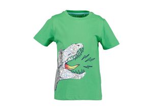 4066646375236 - - T-Shirt WHAT A DINO in apfel Gr92