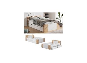 4066731049257 - Schubladenbett Doppelbett Funktionsbett Pulsar Sonoma Weiß Schublade 4066731049257 - Schubladenbett Doppelbett Funktionsbett Pulsar Sonoma Weiß Schublade