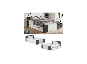 4066731049264 - Schubladenbett Doppelbett Funktionsbett Pulsar ANT Weiß Schublade