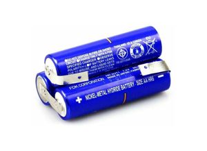 4066738021355 - Panasonic fuijtsu - Xcell Akku für Staubsauger aeg Junior 20 Typ 141 2000mAh 36 v Electrolux