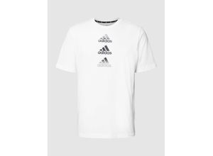 4066747997429 - adidas Designed to Move Funktionsshirt Herren in white