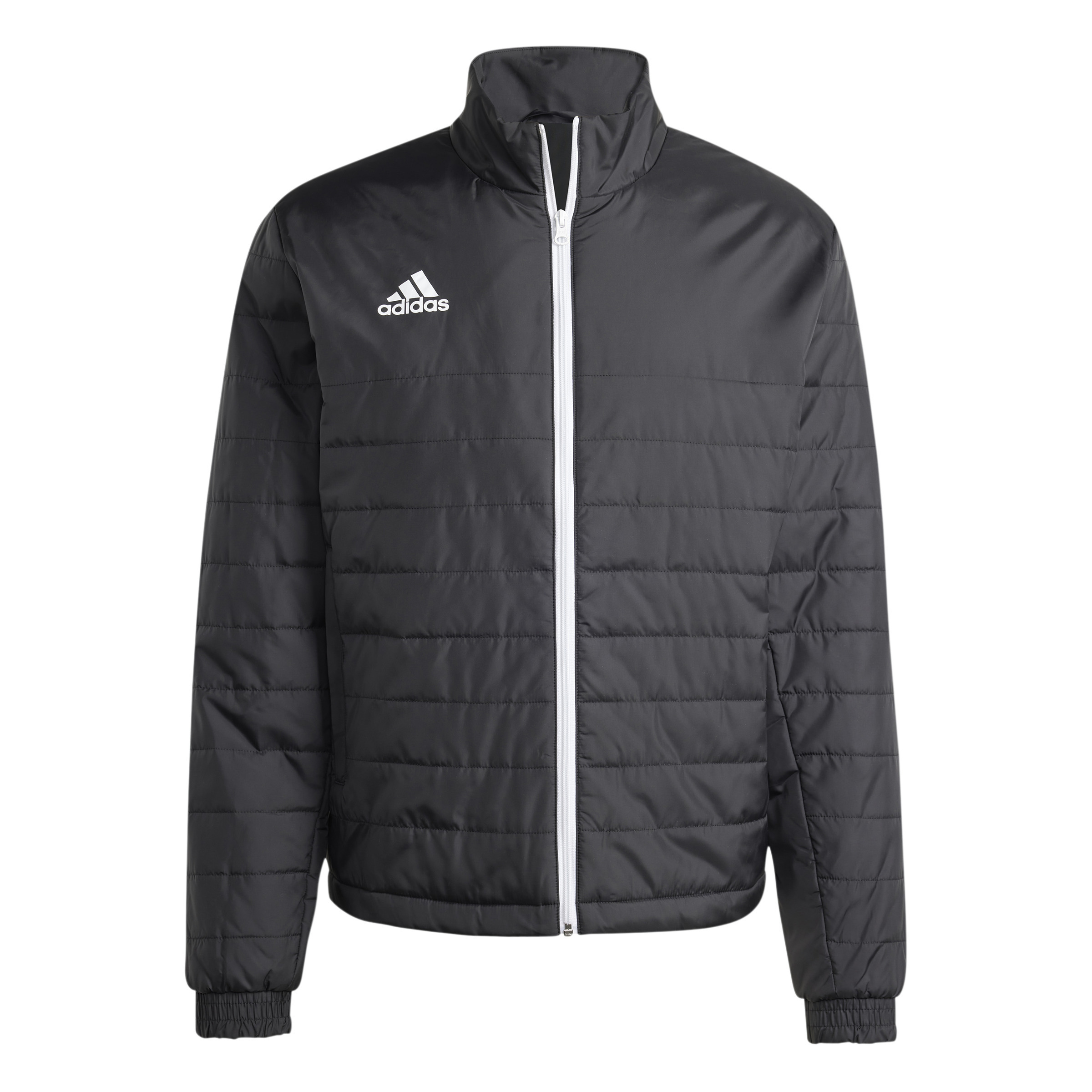 4066749738419 - Leichte Daunenjacke adidas Entrada