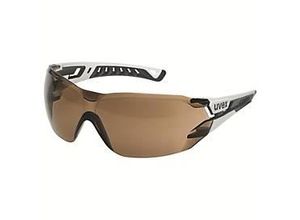 4066853002055 - Schutzbrille pheos nxt CBR23 Panoramascheibe spezieller CBR23-Filter kratzfest Kunststoff schwarz-weiß