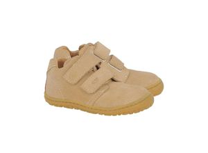 4066892484959 - - Kletthalbschuhe NOAH BAREFOOT SUEDE in cappuccino Gr26