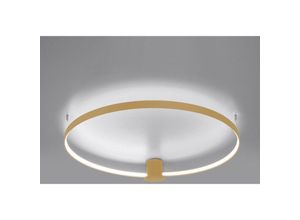 4066989027069 - Famlights - led Deckenleuchte Ria in Gold 30W 3870lm 4000K - yellow