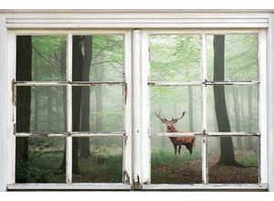 4067437001365 - Leinwandbild QUEENCE Wald Bilder Gr B H 20 cm x 30 cm Natur-Bäume-Tiere-Hirsch-Hirschbilder-Landschaft-Wald-Waldbilder Querformat 1 St beige (natur) Leinwandbilder Premium-Leinwandstoff