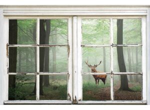 4067437001396 - Leinwandbild QUEENCE Wald Bilder Gr B H 90 cm x 60 cm Natur-Bäume-Tiere-Hirsch-Hirschbilder-Landschaft-Wald-Waldbilder Querformat 1 St beige (natur) Leinwandbilder Premium-Leinwandstoff