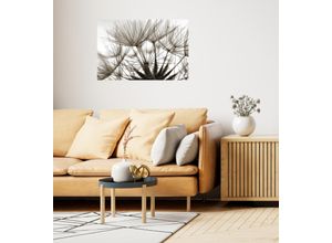 4067437103878 - QUEENCE Wandsticker Blume Wandtattoos Selbstklebend kinderleichte Anbringung Gr B H T 150 cm x 100 cm x 01 cm Pusteblume-Blume beige Wandtattoos Natur