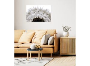 4067437103939 - QUEENCE Wandsticker Pusteblume Wandtattoos Selbstklebend kinderleichte Anbringung Gr B H T 150 cm x 100 cm x 01 cm Pusteblume-Blume weiß Wandtattoos Natur