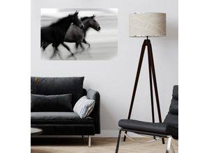 4067437104110 - QUEENCE Wandsticker Horses Wandtattoos Selbstklebend kinderleichte Anbringung Gr B H T 150 cm x 100 cm x 01 cm Pferd-Pferde schwarz Wandtattoos Tiere