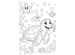 4067437121933 - Bild QUEENCE Seesterne und Schildkröte weiß (farbe bild(er) weiß) B20cm H30cm T04cm Alu Dibond Bilder DIY Wandbild aus Dibond