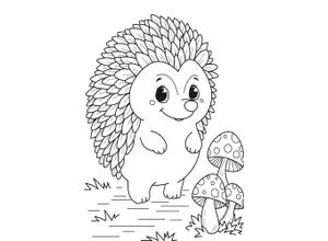 4067437122039 - Bild QUEENCE Großer Igel weiß (farbe bild(er) weiß) B60cm H90cm T04cm Alu Dibond Bilder DIY Wandbild aus Dibond