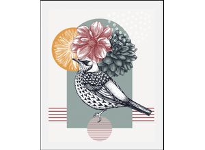 4067437346398 - Bild QUEENCE Birdy Bilder Gr B H 50 cm x 70 cm Wandbild Vögel Hochformat 1 St rosa Kunstdrucke gerahmt