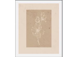 4067437347234 - Bild QUEENCE Havanna Bilder Gr B H 50 cm x 70 cm Wandbild Hochformat 1 St beige Kunstdrucke gerahmt