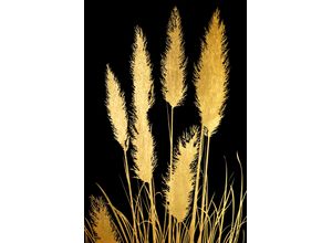 4067437735468 - Acrylglasbild Pampas Gras - Acrylbilder mit Blattgold veredelt Bilder Gr B H 50 cm x 80 cm Acrylglasbild mit Blattgold Hochformat 1 St goldfarben (gold) Acrylglasbilder Goldveredelung Handgearbeitet Gerahmt Edel