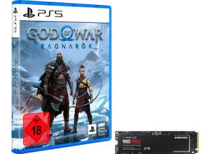 4067475993516 - SAMSUNG interne SSD SSD 980 Pro 2TB + God of War Ragnarök PlayStation 5 Festplatten Gr 2 TB schwarz Interne Festplatten