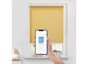 4067533005410 - Rollo ORIGINAL Klemmfix ohne Bohren Gr 1 gelb (gelb weiß weiß) B110cm H190cm Polyester Rollos Steuerbar mit Bluetooth-App integrierter Elektromotor und Akku