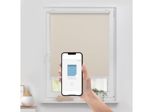 4067533006165 - Rollo ORIGINAL Klemmfix ohne Bohren Gr 1 beige (beige weiß weiß) B110cm H190cm Polyester Rollos Steuerbar mit Bluetooth-App integrierter Elektromotor und Akku