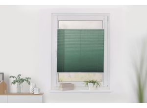 4067533068408 - Plissee ORIGINAL Plissee Klemmfix ohne Bohren verspannt Gr 2 grün (salbei weiß weiß) B120cm H130cm Plissees lichtdurchlässig blickdicht