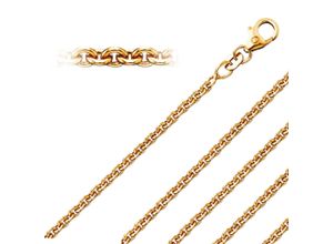 4067551227627 - Goldkette Halsketten Rundankerkette aus 333 Gelbgold Halsketten Gr 45 goldfarben (gold) Damen Goldketten