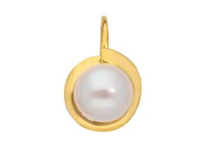 4067551396743 - Paar Ohrhänger ADELIA´S 333 Gold Boutons Ø 66 mm Ohrringe Gr Damen Gelbgold 333 goldfarben (gold) Damen Ohrhänger mit Süßwasser Zuchtperle Goldschmuck für