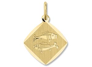 4067551506265 - Kette mit Anhänger Fische Sternzeichen aus 333 Gelbgold Halsketten Gr Gelbgold 333 goldfarben (gold) Damen Ketten mit Anhänger Schmuckset - Set verstellbarer Halskette