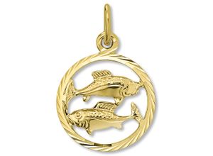 4067551506500 - Kette mit Anhänger Fische Sternzeichen aus 333 Gelbgold Halsketten Gr Gelbgold 333 goldfarben (gold) Damen Ketten mit Anhänger Schmuckset - Set verstellbarer Halskette