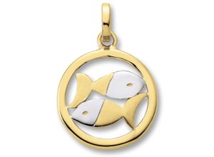 4067551939612 - Sternzeichen-Anhänger Fische Sternzeichen Anhänger aus 333 Gelbgold Schmuckanhänger Gr Fische Gelbgold 333 goldfarben (gold) Damen Anhänger Gold Schmuck Fische