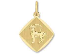 4067551940199 - Sternzeichen-Anhänger Steinbock Sternzeichen Anhänger aus 333 Gelbgold Schmuckanhänger Gr Steinbock Gelbgold 333 goldfarben (gold) Damen Anhänger Gold Schmuck Steinbock