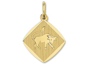 4067551940236 - Sternzeichen-Anhänger Stier Sternzeichen Anhänger aus 333 Gelbgold Schmuckanhänger Gr Stier Gelbgold 333 goldfarben (gold) Damen Anhänger Gold Schmuck Stier