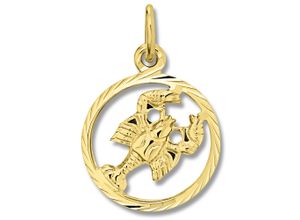 4067551940496 - Sternzeichen-Anhänger Krebs Sternzeichen Anhänger aus 333 Gelbgold Schmuckanhänger Gr Krebs Gelbgold 333 goldfarben (gold) Damen Anhänger Gold Schmuck Krebs