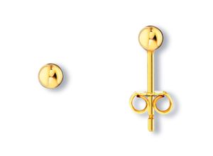 4067551949918 - Paar Ohrstecker Kugel Ohrringe aus 333 Gelbgold Gr Damen Gelbgold 333 goldfarben (gold) Damen Ohrstecker Gold Schmuck Kugel