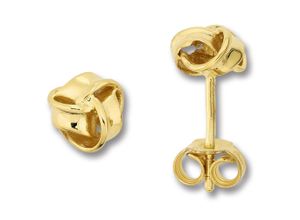 4067551950051 - Paar Ohrstecker Knoten Ohrringe aus 333 Gelbgold Gr Damen Gelbgold 333 goldfarben (gold) Damen Ohrstecker Gold Schmuck Knoten