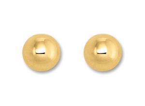 4067551950136 - Paar Ohrstecker Halb Kugel verbödet Ohrringe aus 333 Gelbgold Gr Damen Gelbgold 333 goldfarben (gold) Damen Ohrstecker Gold Schmuck Halb-Kugel verbödet