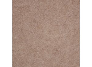 4067602796256 - MY HOME Teppichboden Superflex Teppiche Nadelfilz verschiedene Farben & Größen Gr B L 200 cm x 700 cm 4 mm 1 St beige Teppichboden